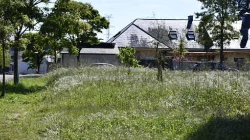 Imagen del estado del barrio de Compostilla este miércoles