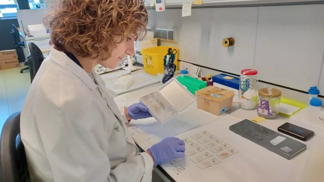 Grupo de Neurobiología de las Demencias de Sant Pau. / Sant Pau Campus Salut Barcelona (SiNC) Grupo de Neurobiología de las Demencias de Sant Pau. / Sant Pau Campus Salut Barcelona (SiNC)