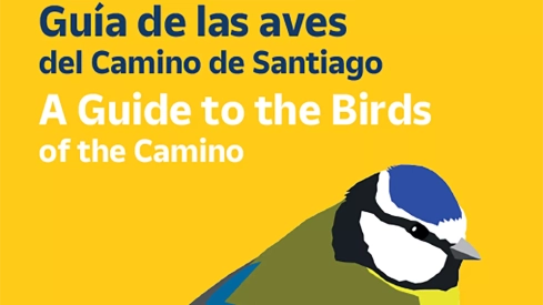 Guía de aves de Correos Camino de Santiago
