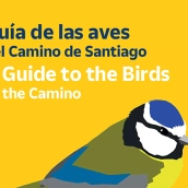 Guía de aves de Correos Camino de Santiago