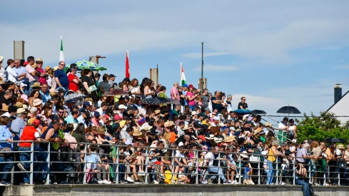 Feria del Caballo de Camponaraya: Espectáculo ecuestre Feria del Caballo de Camponaraya: Espectáculo ecuestre