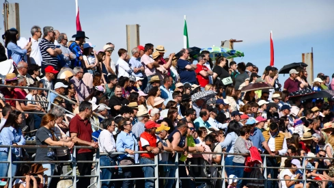 Feria del Caballo de Camponaraya: Espectáculo ecuestre Feria del Caballo de Camponaraya: Espectáculo ecuestre