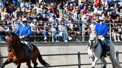 Feria del Caballo de Camponaraya: Espectáculo ecuestre Feria del Caballo de Camponaraya: Espectáculo ecuestre