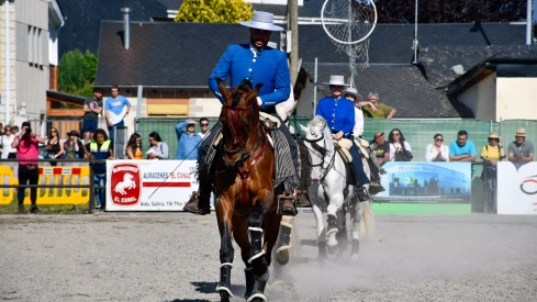 Feria del Caballo de Camponaraya: Espectáculo ecuestre Feria del Caballo de Camponaraya: Espectáculo ecuestre