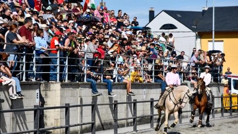 Feria del Caballo de Camponaraya: Espectáculo ecuestre Feria del Caballo de Camponaraya: Espectáculo ecuestre