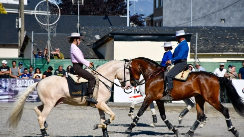 Feria del Caballo de Camponaraya: Espectáculo ecuestre Feria del Caballo de Camponaraya: Espectáculo ecuestre