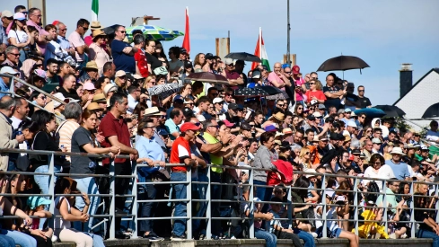 Feria del Caballo de Camponaraya: Espectáculo ecuestre Feria del Caballo de Camponaraya: Espectáculo ecuestre