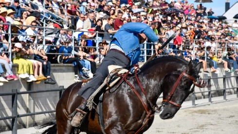 Feria del Caballo de Camponaraya: Espectáculo ecuestre Feria del Caballo de Camponaraya: Espectáculo ecuestre