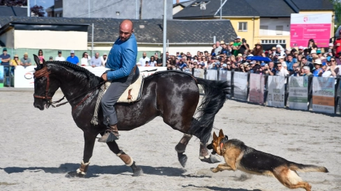Feria del Caballo de Camponaraya: Espectáculo ecuestre Feria del Caballo de Camponaraya: Espectáculo ecuestre