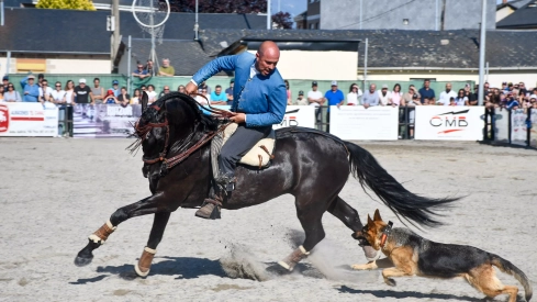 Feria del Caballo de Camponaraya: Espectáculo ecuestre Feria del Caballo de Camponaraya: Espectáculo ecuestre