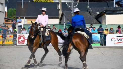 Feria del Caballo de Camponaraya: Espectáculo ecuestre Feria del Caballo de Camponaraya: Espectáculo ecuestre