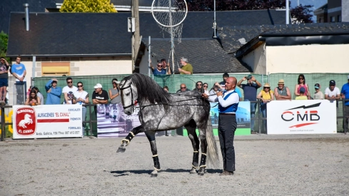 Feria del Caballo de Camponaraya: Espectáculo ecuestre Feria del Caballo de Camponaraya: Espectáculo ecuestre
