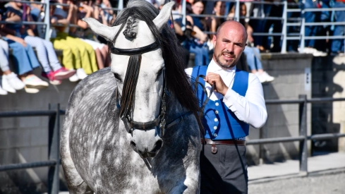 Feria del Caballo de Camponaraya: Espectáculo ecuestre Feria del Caballo de Camponaraya: Espectáculo ecuestre