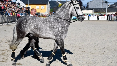 Feria del Caballo de Camponaraya: Espectáculo ecuestre Feria del Caballo de Camponaraya: Espectáculo ecuestre