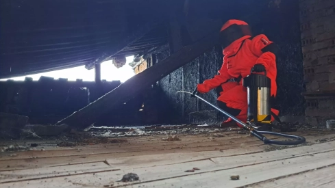 La Diputación de León destinará 30.000 euros a la lucha contra el avispón asiático 