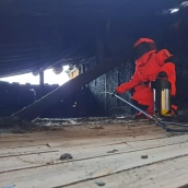 La Diputación de León destinará 30.000 euros a la lucha contra el avispón asiático 