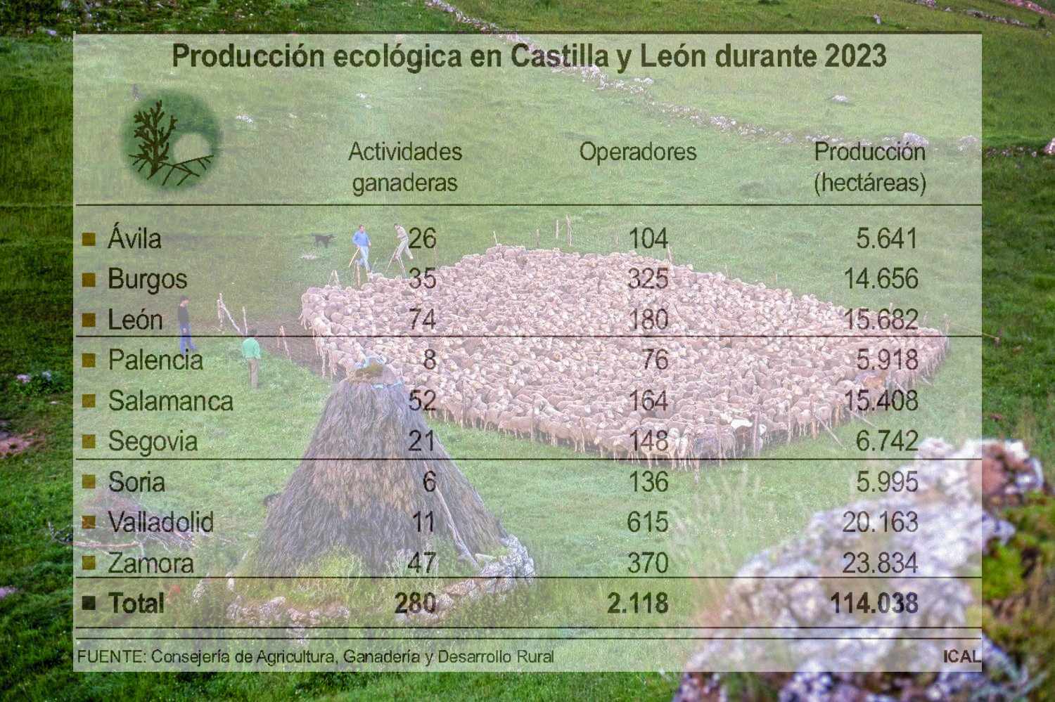 León, la provincia líder de CyL en producción ganadera ecológica 