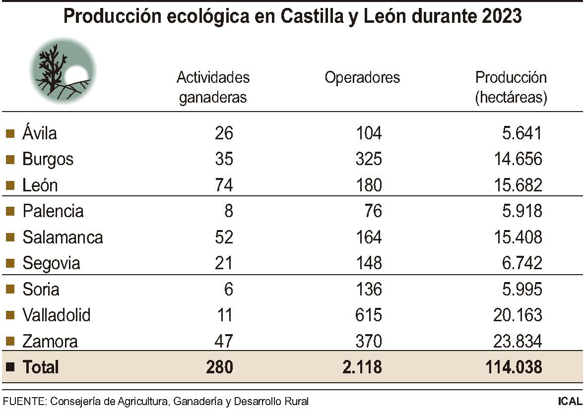 grafico produccion ecologica cyl grafico produccion ecologica cyl