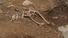 Avances de las excavaciones que se están llevando a cabo en el antiguo Cementerio del Carmen 