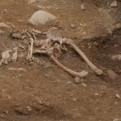 Avances de las excavaciones que se están llevando a cabo en el antiguo Cementerio del Carmen 