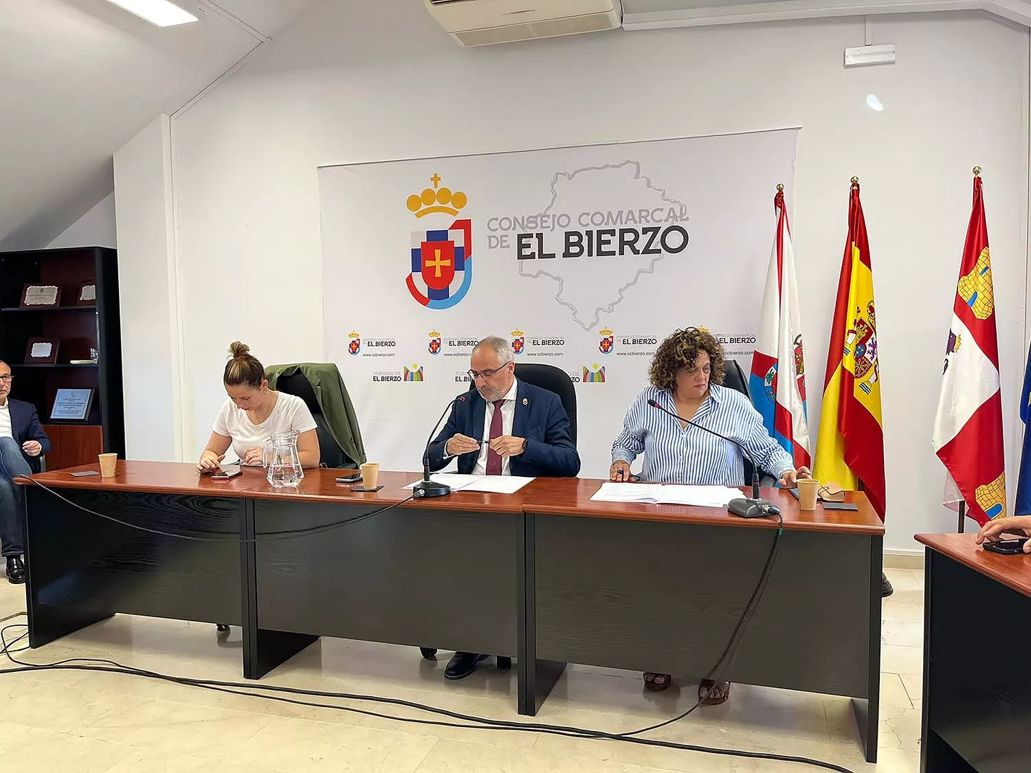 Pleno del Consejo Comarcal del Bierzo