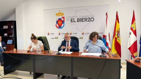 Pleno del Consejo Comarcal del Bierzo