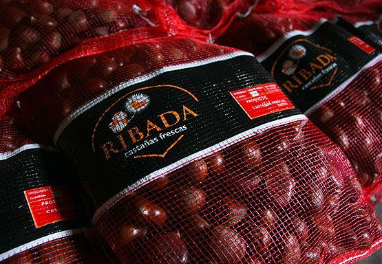 Castañas del Bierzo de la empresa La Oricera, afincada en Balboa (César Sánchez/ICAL)