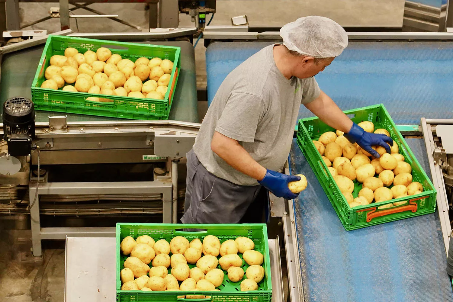 Fábrica Patatas Hijolusa en Ribaseca (León) Industria. Fábrica Patatas Hijolusa en Ribaseca (León) Industria.