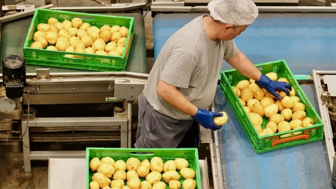 Fábrica Patatas Hijolusa en Ribaseca (León) Industria.