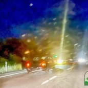 Accidente en Camponaraya provocado por un jabalí | Foto: AF2Toral