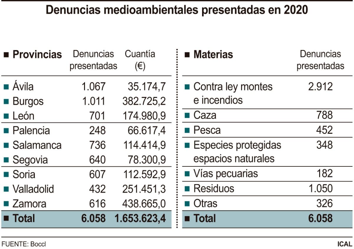Denuncias medioambientales presentadas en 2020 (10cmx7cm)