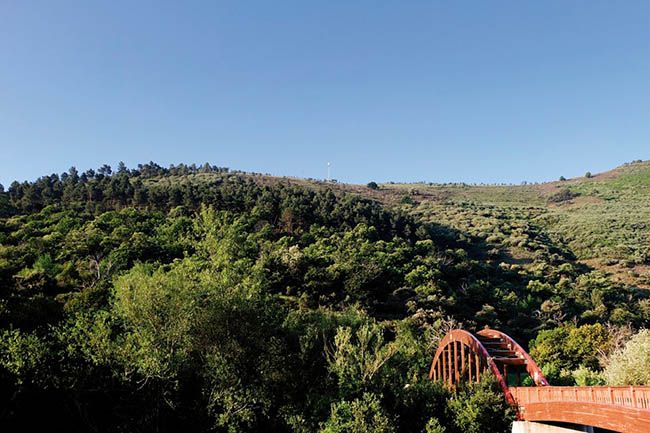 monte pajariel foto ayuntamiento ponferrada