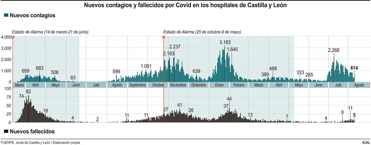 datos-coronavirus-agosto-10