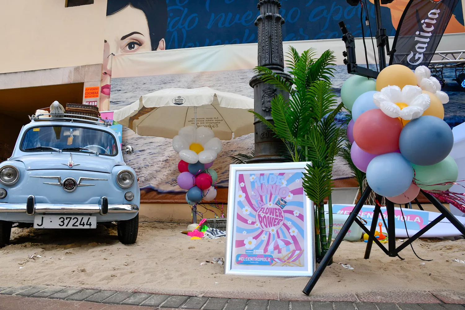 Fiesta 'Flower Power' Fiesta 'Flower Power'