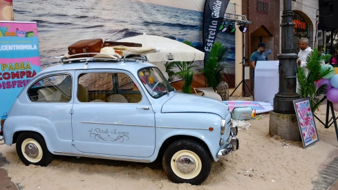 Fiesta 'Flower Power' Fiesta 'Flower Power'