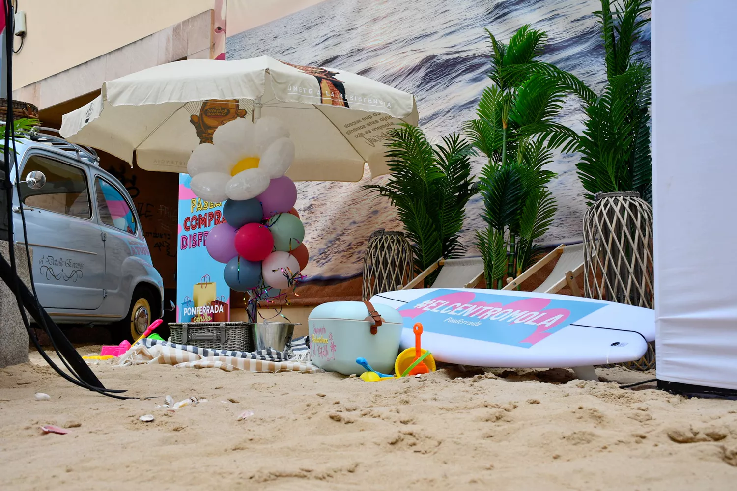 Fiesta 'Flower Power' Fiesta 'Flower Power'