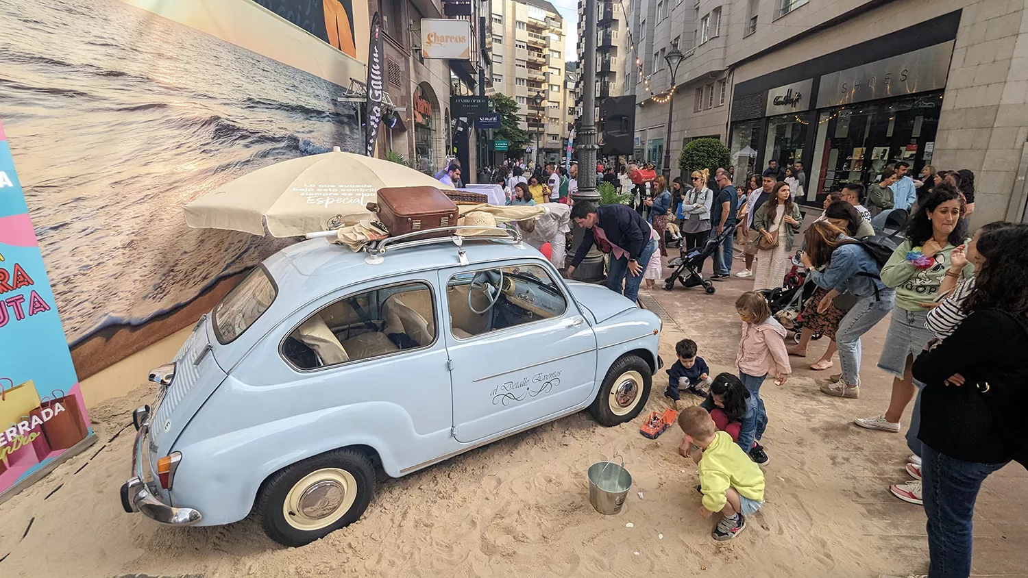 Fiesta 'Flower Power' Fiesta 'Flower Power'