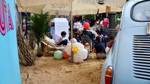 Fiesta 'Flower Power' (6) Fiesta 'Flower Power' (6)