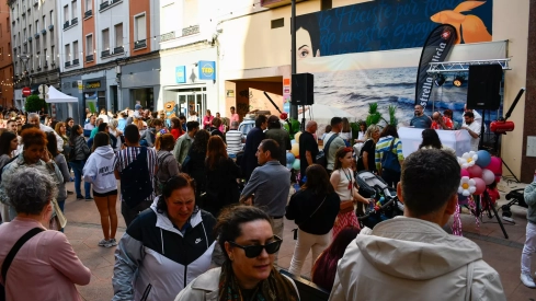 Fiesta 'Flower Power' (8) Fiesta 'Flower Power' (8)