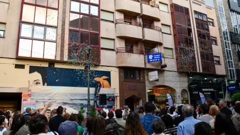 Fiesta 'Flower Power' (11) Fiesta 'Flower Power' (11)