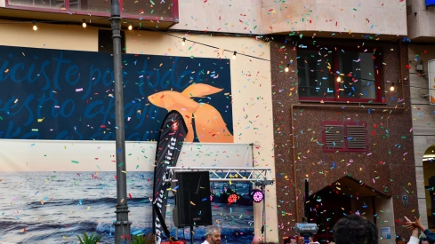 Fiesta 'Flower Power' (14) Fiesta 'Flower Power' (14)