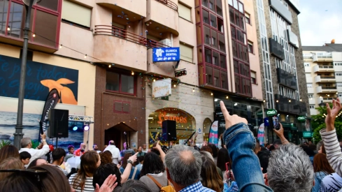 Fiesta 'Flower Power' (15) Fiesta 'Flower Power' (15)