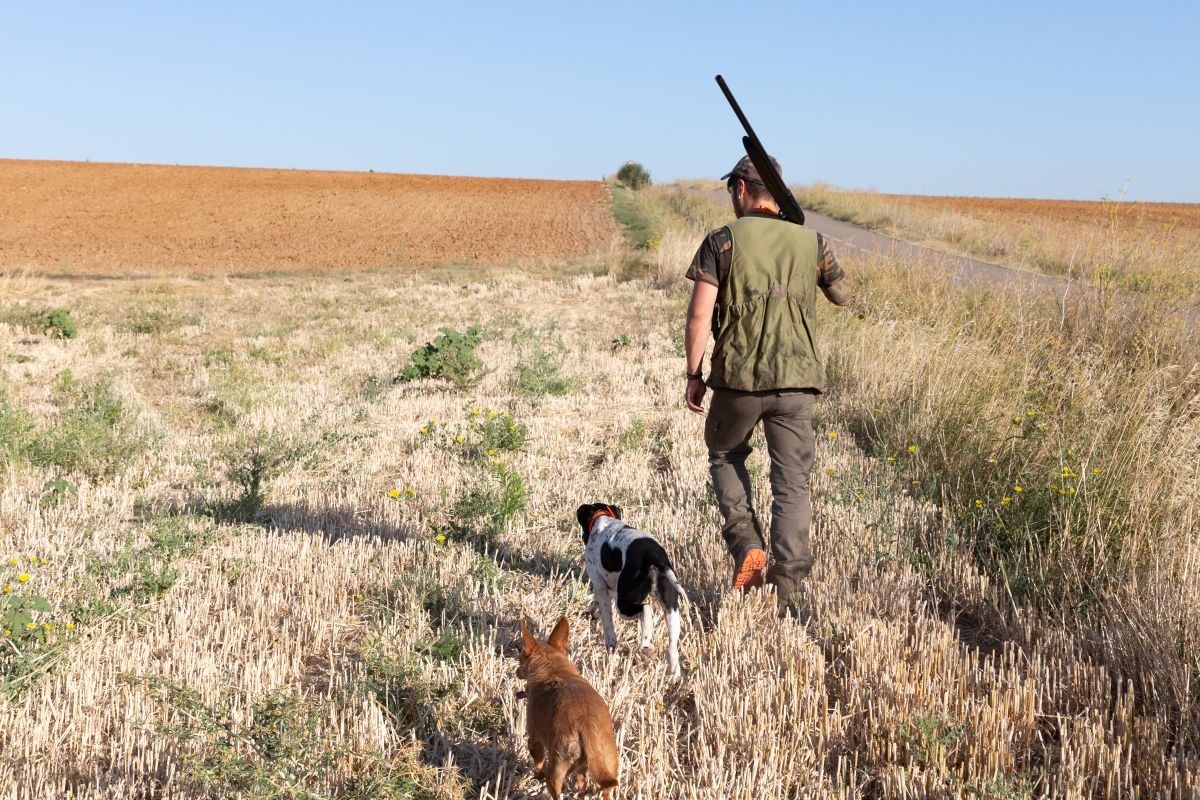 Aprobados más de 500 permisos de caza en las reservas de Riaño, Mampodre y Ancares