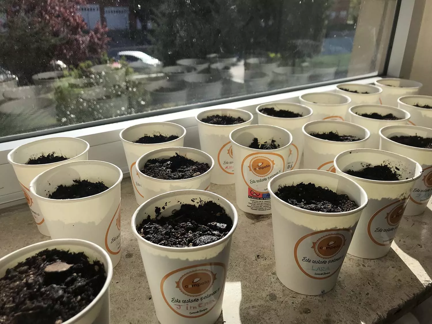 El CRA de Carucedo obtiene el galardón de Campelo Bosques. El CRA de Carucedo obtiene el galardón de Campelo Bosques.