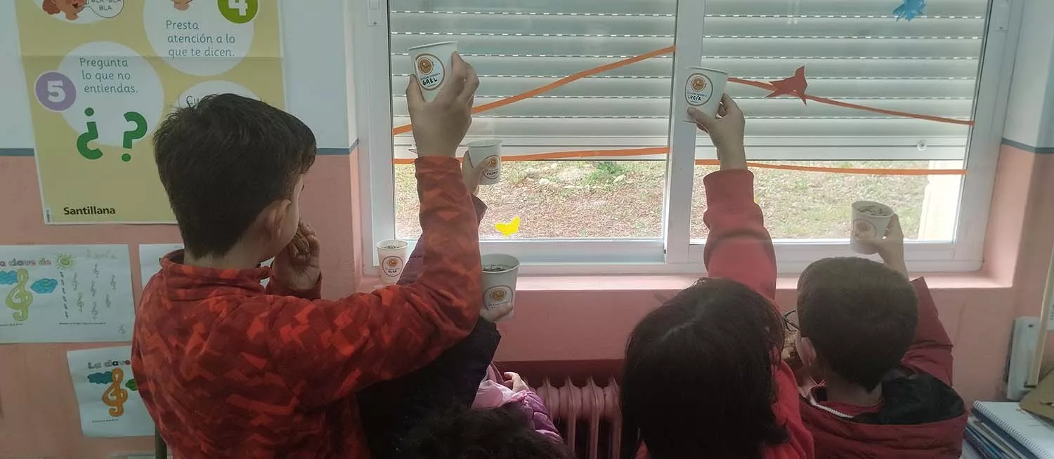 El CRA de Carucedo obtiene el galardón de Campelo Bosques 2 El CRA de Carucedo obtiene el galardón de Campelo Bosques 2