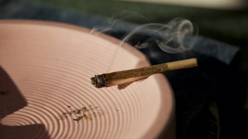 El cannabis en Castilla y León