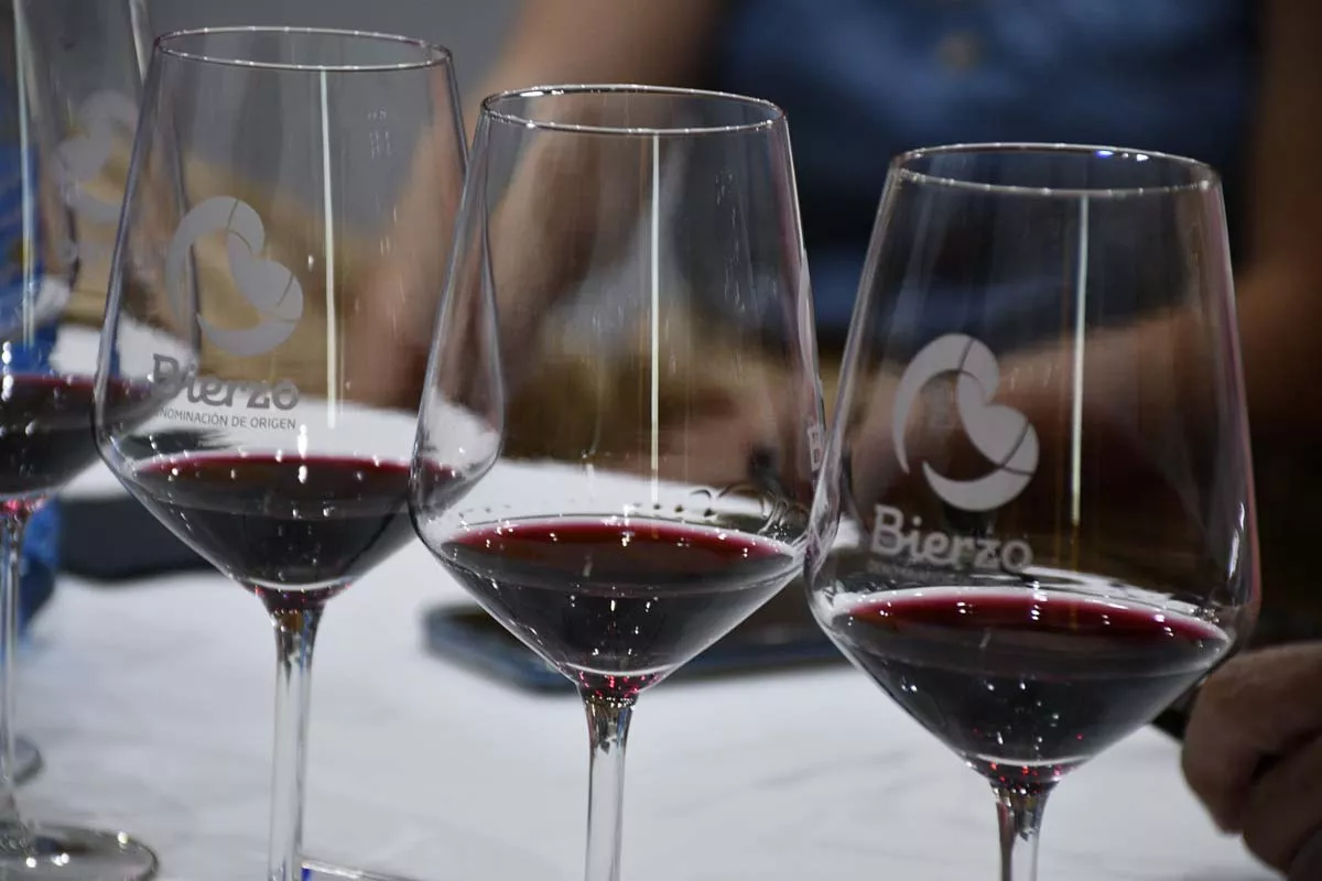 La añada de la DO Bierzo 2023 'cosecha' la excelencia un año más y el periodistaJavier Pérez secunda esta valoración