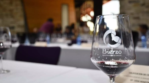  La añada de la DO Bierzo 2023 'cosecha' la excelencia un año más y el periodista  Javier Pérez secunda esta valoración