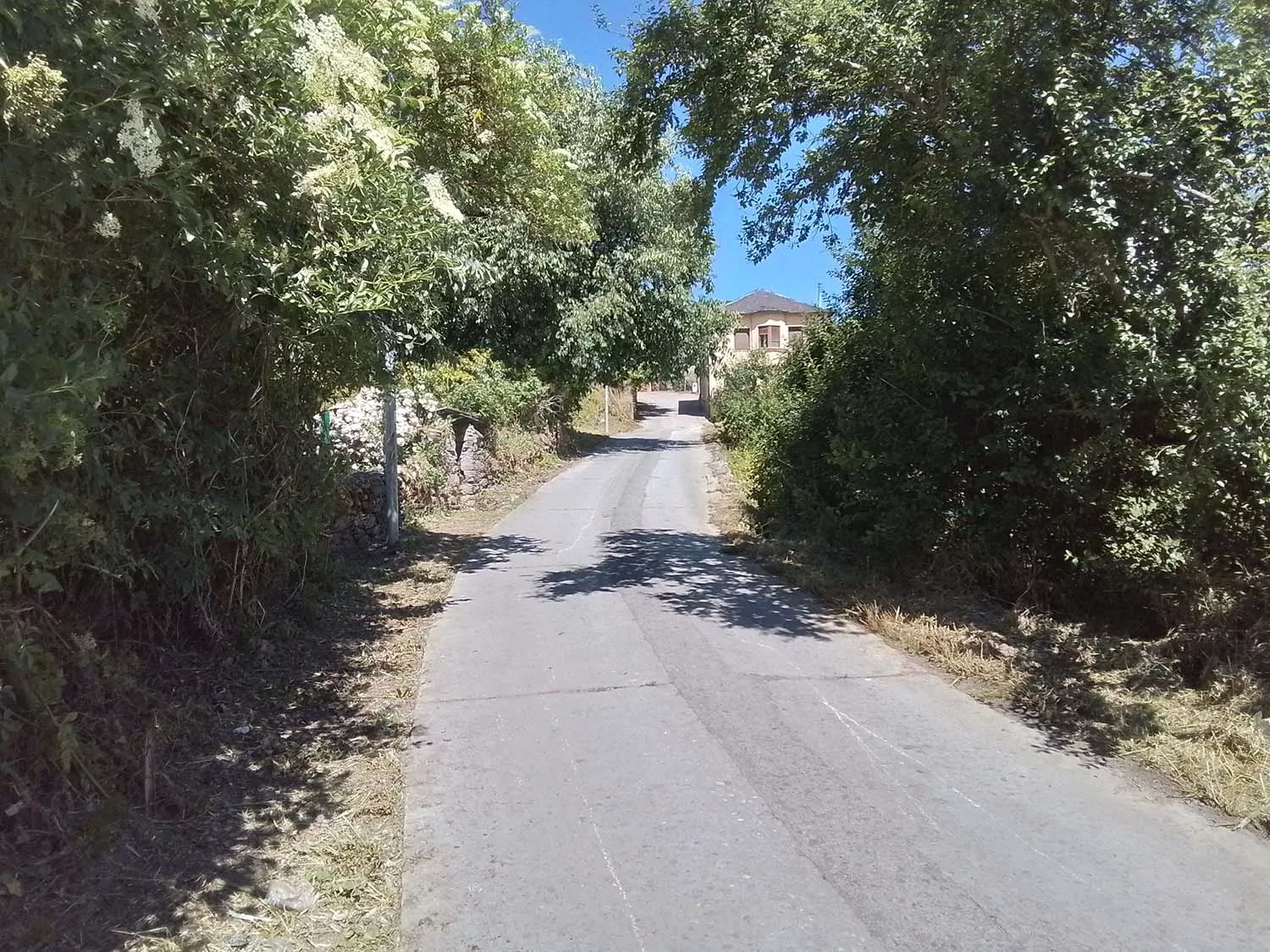 Imagen de una carretera desbrozada en El Bierzo 