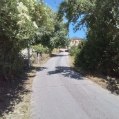 Imagen de una carretera desbrozada en El Bierzo 